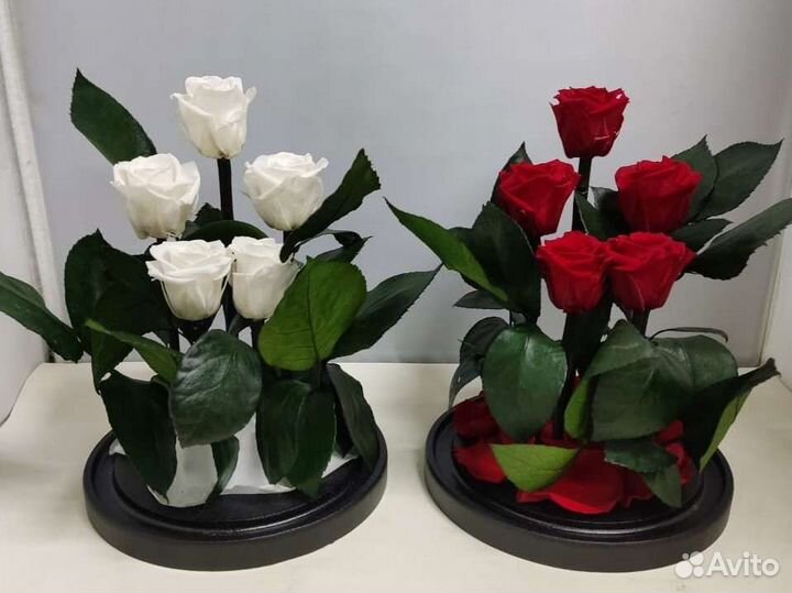 Подарок на новый год / Цветы