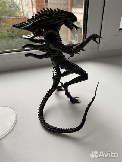 Ксеноморф-чужой