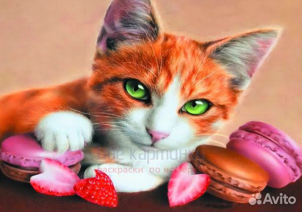 Алмазная мозаика 30x40 Зеленоглазый котёнок со сла