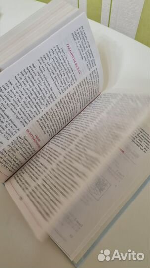 Большая энциклопедия невесты (Веселовская)