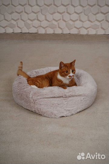 Игровой комплекс для кошки