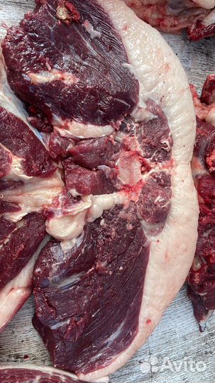 Продам мясо конина забой 19.09