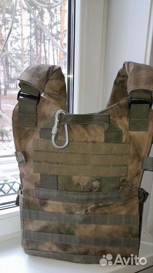 Плитник мох