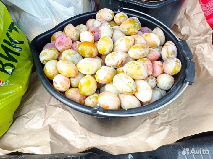 Яблоки и груши домашние