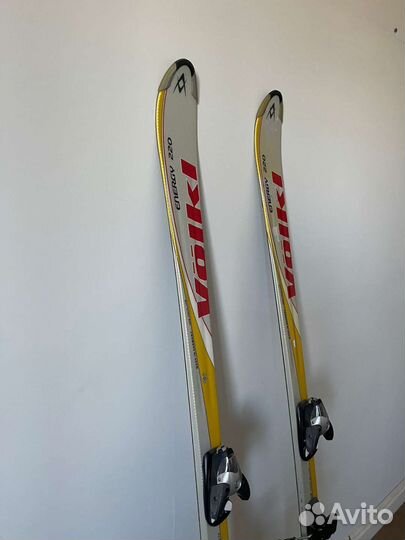 Горные лыжи