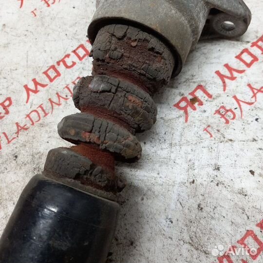 Амортизатор подвески задний Audi A4 B7 BWE 2007