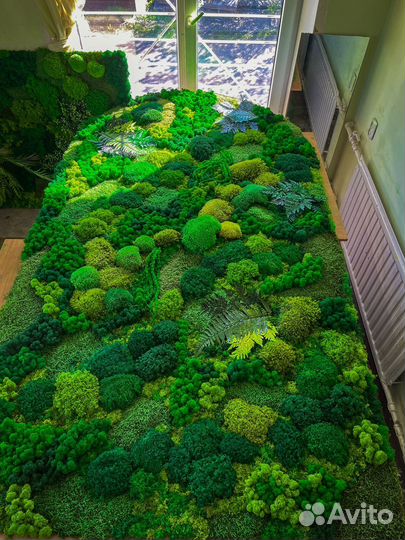 Панно из мха готовые панели декор стен озеленения