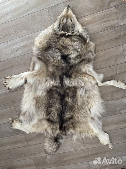 Шкура волка