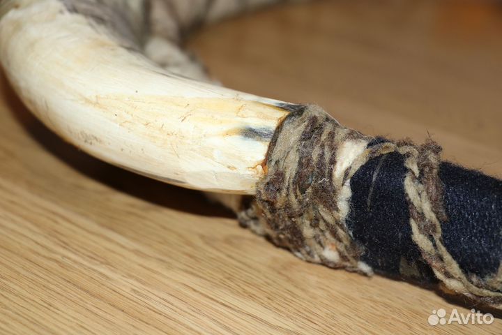 Духовой этнический круговой инструмент с рогом