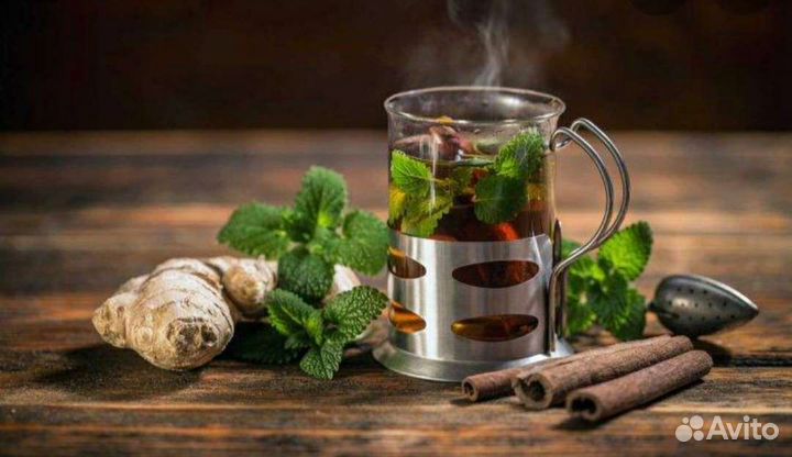 Мята (шпороцвет, плектрантус)