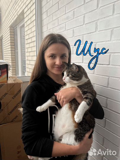 Зоогостиница для животных