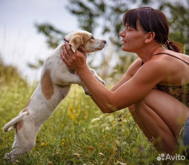 Глория маленький щенок в добрые руки