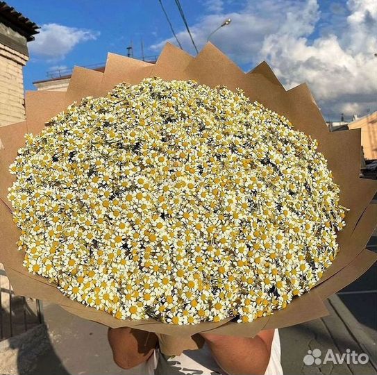 Ромашки букет