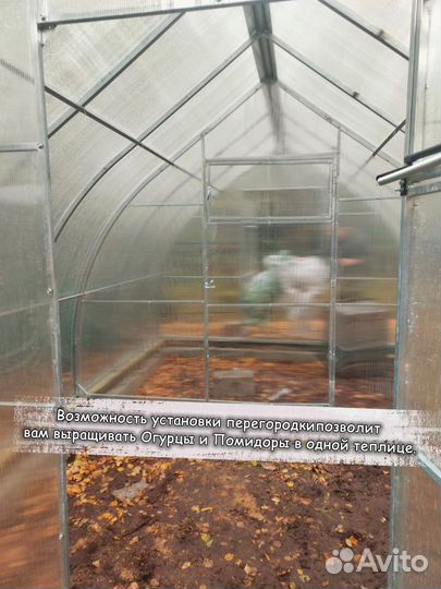 Теплица 