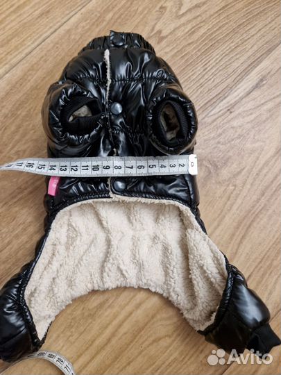 Одежда для собак