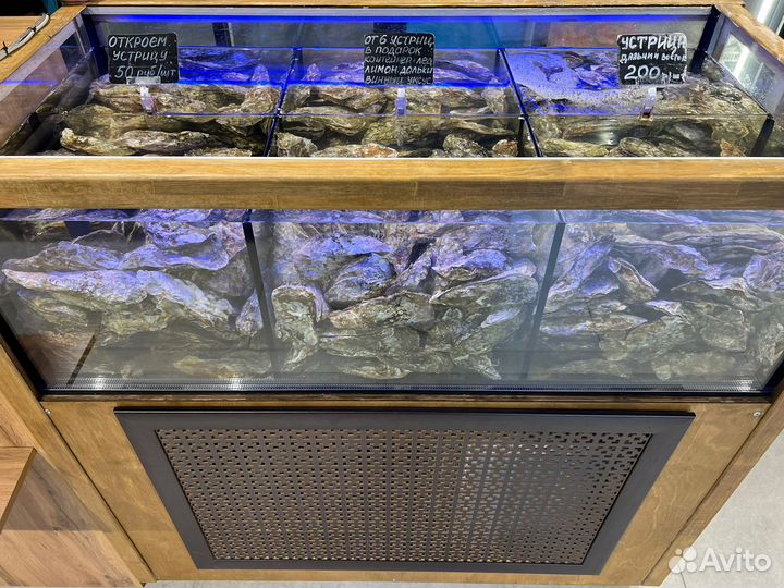 Живые устрицы откроем подадим