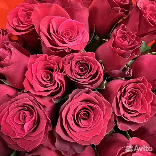 Розы Кения 40 см, розы оптом