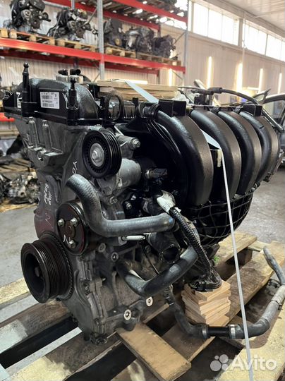 Двигатель mgda Ford Focus контрактный