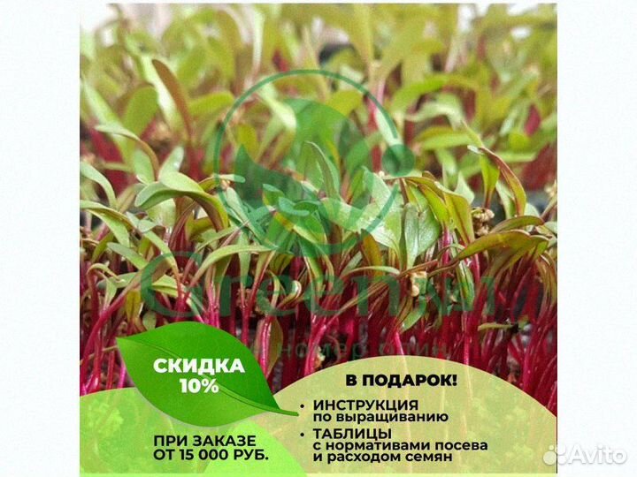 Качественная микрозелень