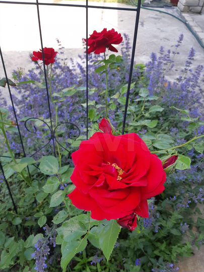 Дача 140 м² на участке 25 сот.