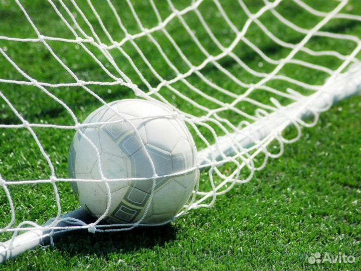 Сетка для ворот на заказ