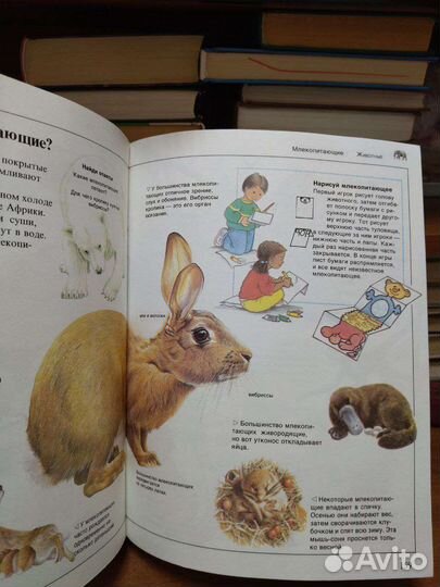 Большая энциклопедия для дошко-в. Азбука цветов