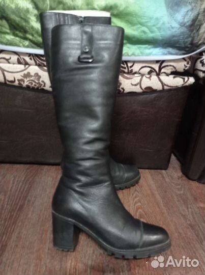 Сапоги женские