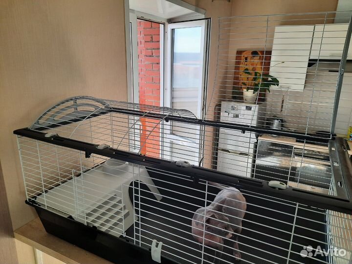 Клетка Ferplast Casita 120