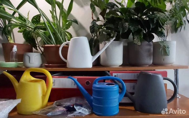 Лейка для цветов