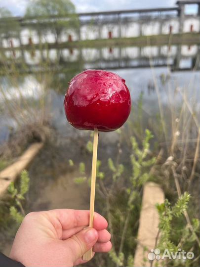 Сладкая вата и яблоки в карамели на праздник
