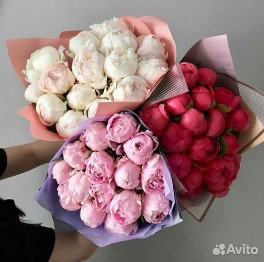 Пионы букет