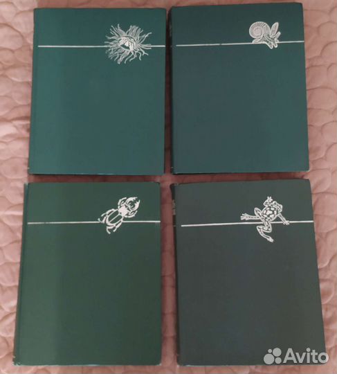 Энциклопедия 