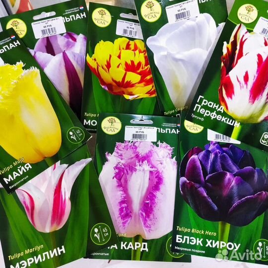 Лилии луковицы