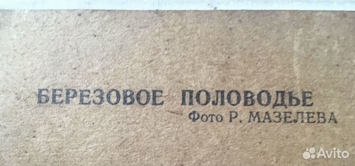 Картины репродукция СССР на ткани