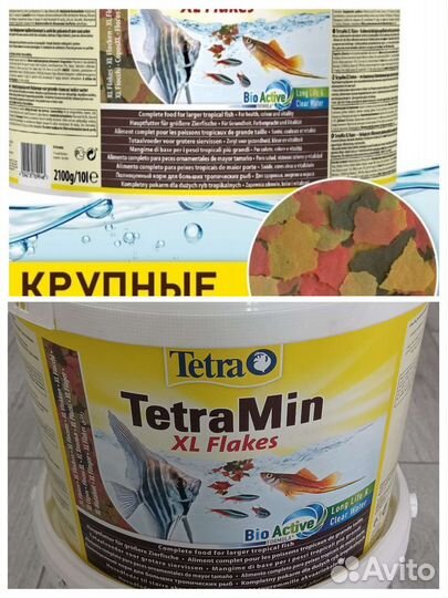 Корм для рыб