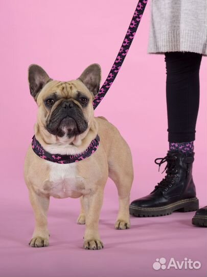 Шлейка United Pets для собак Complete me Identity