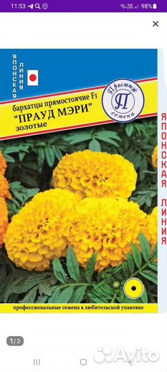 Рассада бархатцев