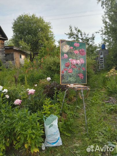 Розовые пионы, холст, масло 90х 60 см