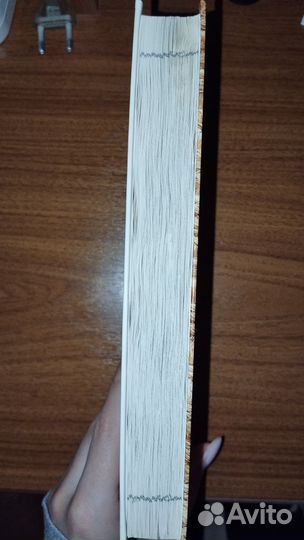 Рэй Бредбери Вино из одуванчиков