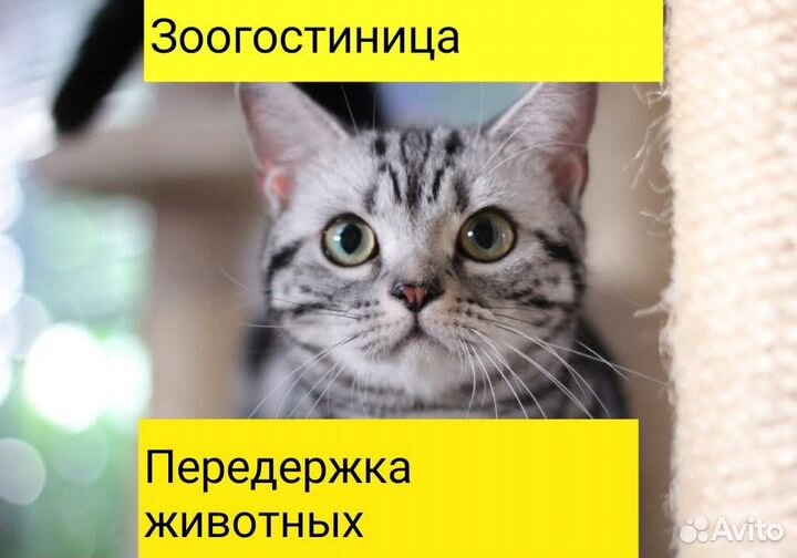 Ждём в гости