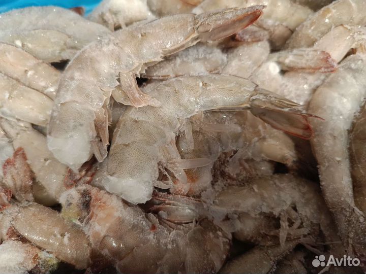 Креветки крупные без головы свежемороженые