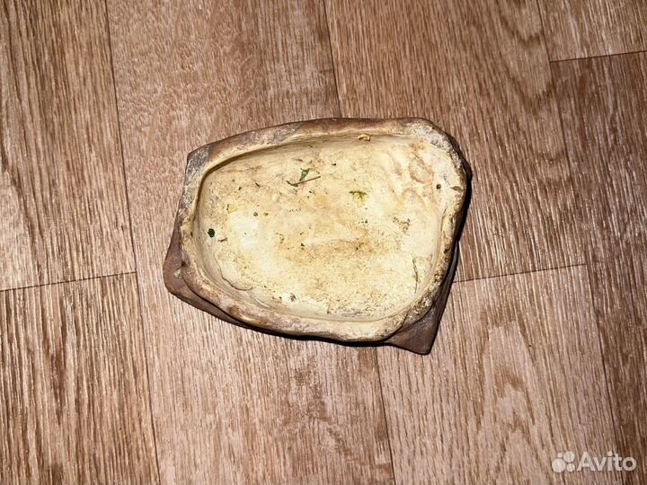 Кормушка -поилка Exo Terra для рептилий