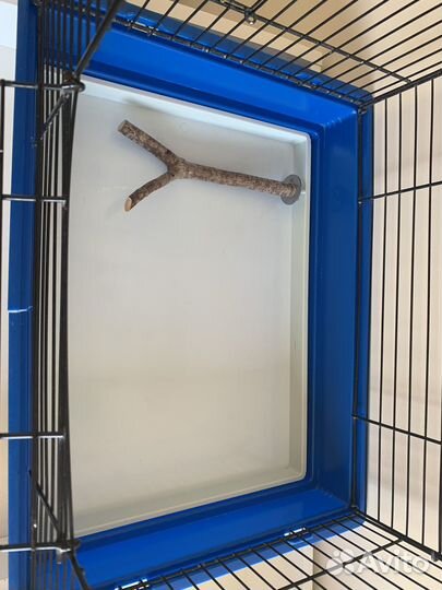 Клетка для попугая, переноска, купалка