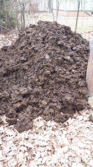 Навоз годовалый