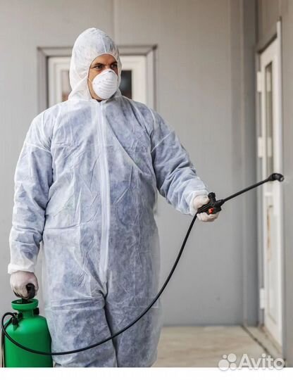Дезинсекция клопов,тараканов, обработка