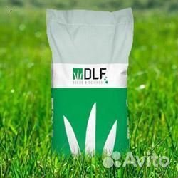 Семена газонной травы (Дания) playground