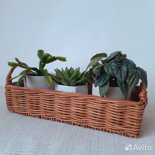 Корзина плетеная
