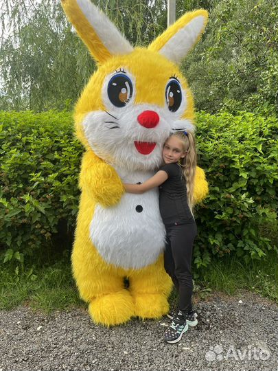 Белый мишка, зайка, чебурашка на праздник