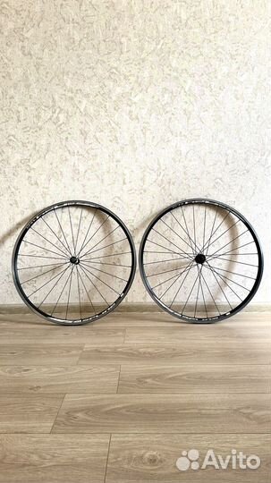 Обода DT swiss R24 spline