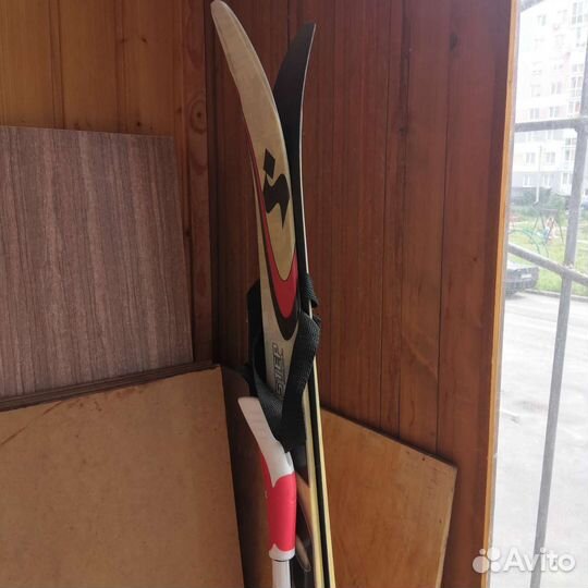 Беговые лыжи